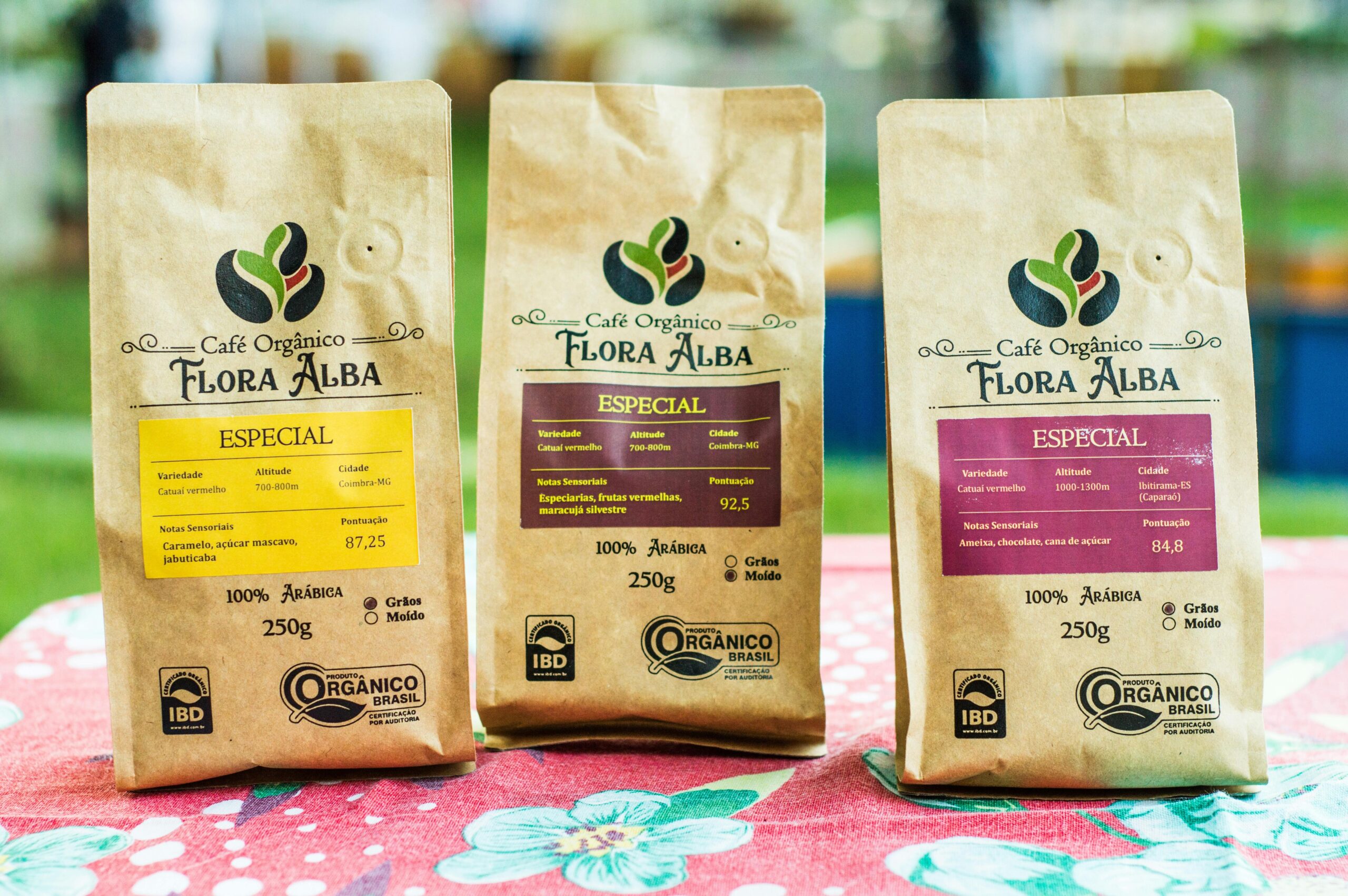 Infographic showing seals of certification for trustworthy organic pads.