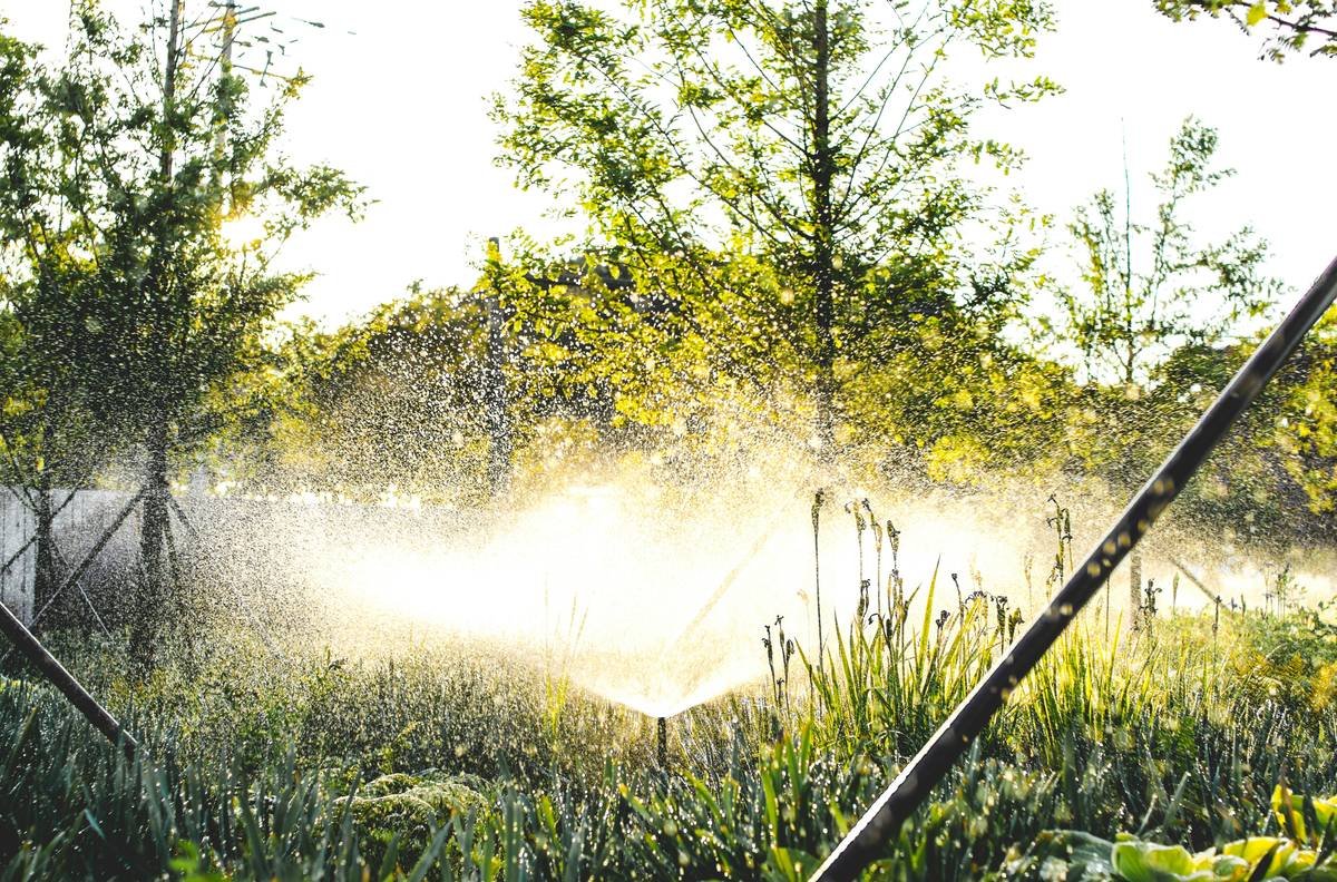 Chart comparing biodegradability and material composition of top organic pad brands