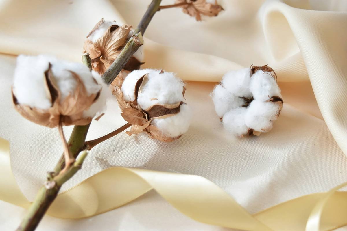 Smiling woman holding a box of organic pads while sitting comfortably at home