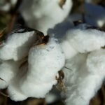 Why Natural Pad Hygiene Isn’t Just a Trend—It’s Your Vaginal Health’s Best Friend