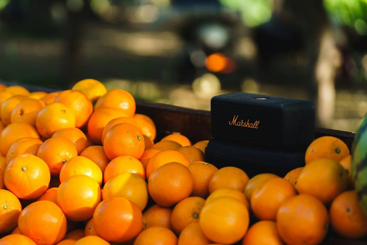 Fresh oranges piled high with a marshall speaker