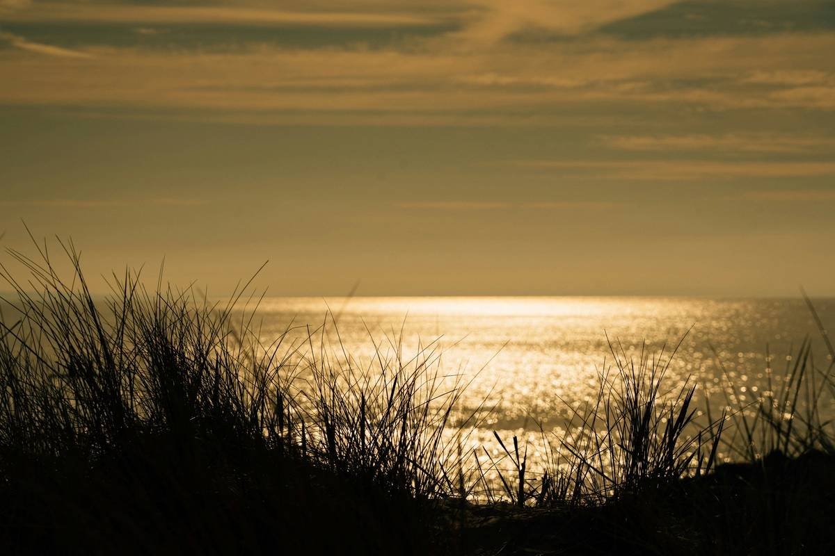 A golden sunrise reflected onto the sea, seen from the sand dunes.