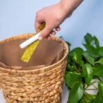 Hygiene Organic Pad: Why Your Period Deserves Cleaner, Kinder Care
