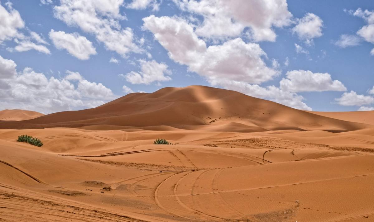 Sahara dunes